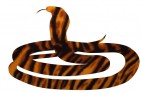 snake-animal-stripes-cut-outDiana Adams